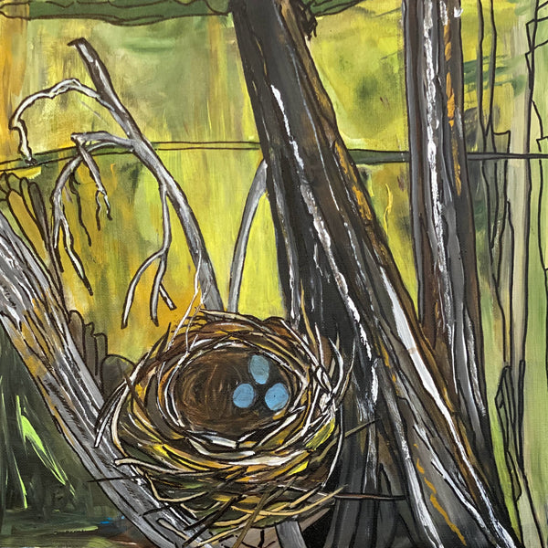 Bird Nest 3