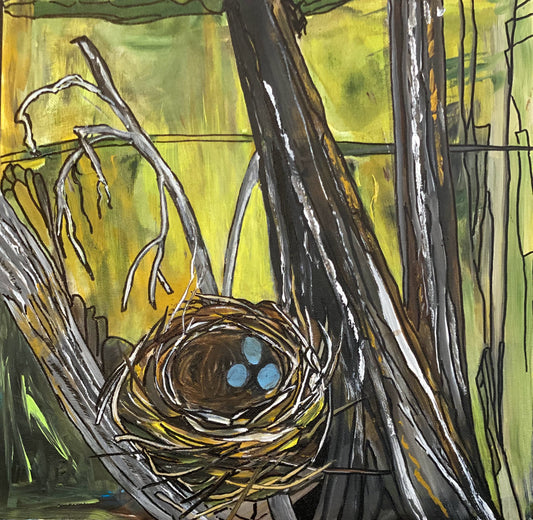Bird Nest 3