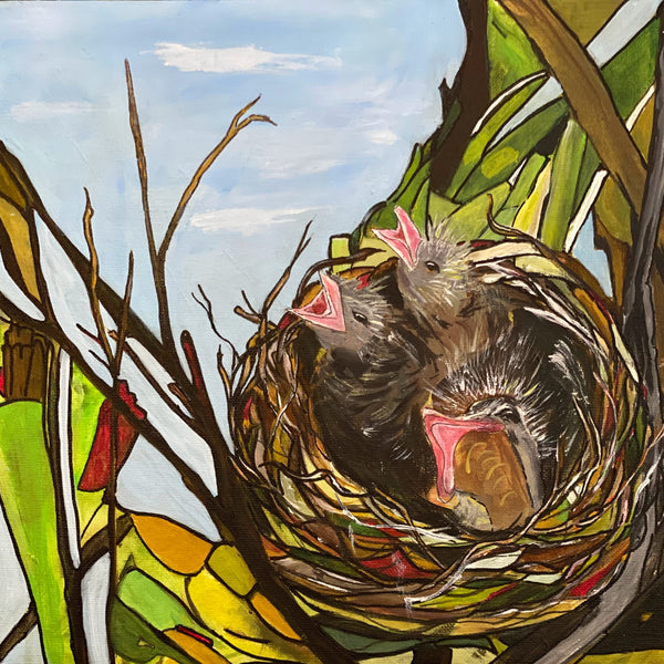 Hungry Birds in the Nest