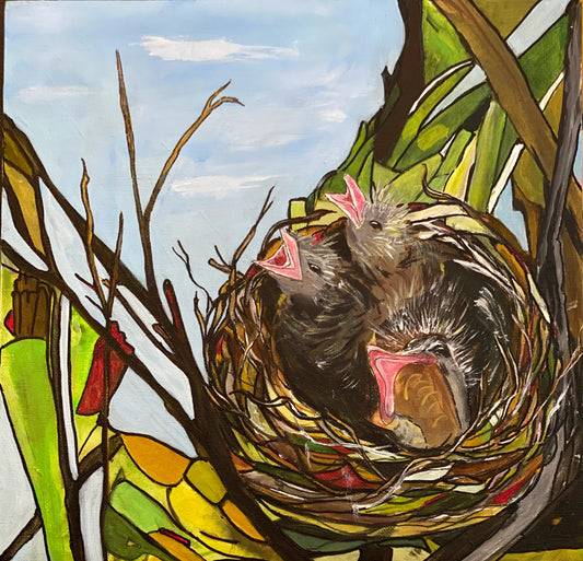 Hungry Birds in the Nest